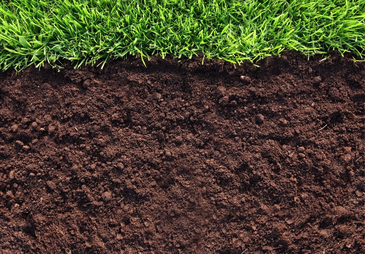 растительный грунт растительный грунт